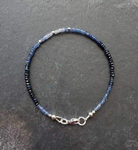 Blue Ombre